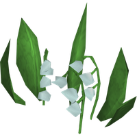 Lily Of The Valley Transparent