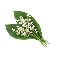 Lily Of The Valley Clipart