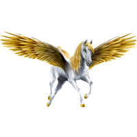 Pegasus File