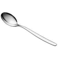 Silver Spoon Model