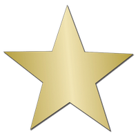 Gold Star Sticker Image