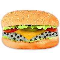Hamburger Burger Png Image Mac Burger