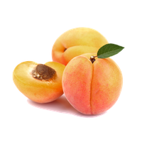 Apricot Image