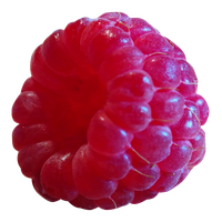 Raspberry Transparent Image