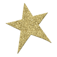 Gold Glitter Star File
