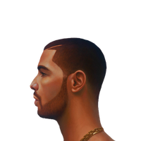 Drake Face Photos