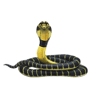 Cobra Snake Transparent