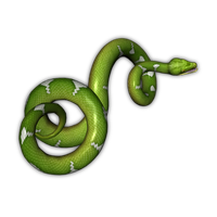 Green Snake Transparent Background