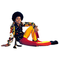 Michael Jackson File