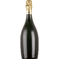 Champagne Bottle Png Image