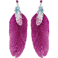 Feather Earrings Png Image
