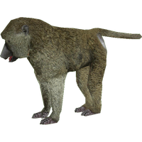 Baboon Png Clipart