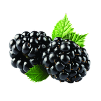 Blackberry Fruit Png Image