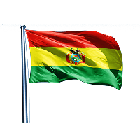 Bolivia Flag Picture