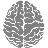 Brain Png Clipart