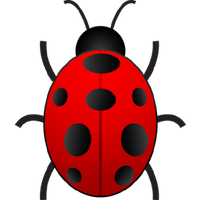 Bug Png 2