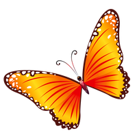 Butterfly Png 5