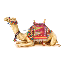 Camel Png 2