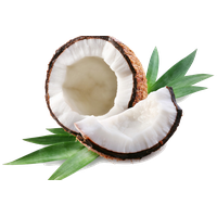 Coconut Free Download Png