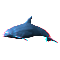 Dolphin Png Pic