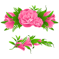 Flowers Borders Free Png Image