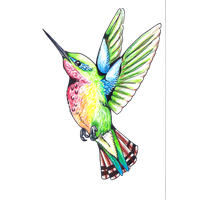 Hummingbird Tattoos Png Clipart