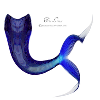 Mermaid Tail Png Image