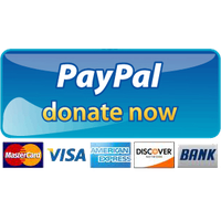Paypal Donate Button Png Picture