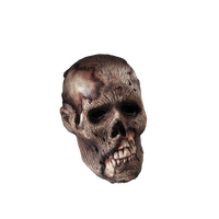Skeleton Head Png Clipart