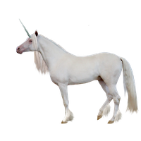 Unicorn Png Image