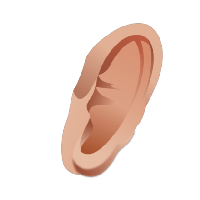 Ear Png Image