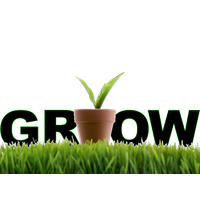 Grow Free Transparent Image HQ