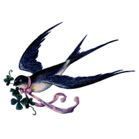Fairy Bird Download Free HQ Image