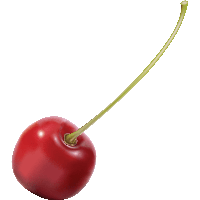 Cherry Png Image