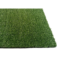 Fake Grass Image Free Clipart HD
