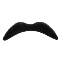 Fake Moustache HQ Image Free PNG