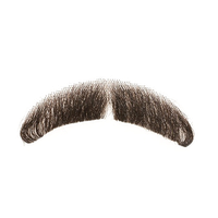 Fake Moustache Free PNG HQ