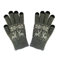 Winter Gloves Image HQ Image Free PNG