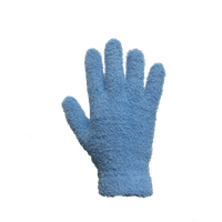 Winter Gloves HD Free Download Image