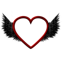 Half Wings Download Free Download PNG HQ