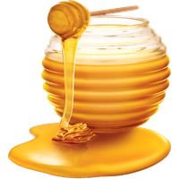 Jar Of Honey Free Clipart HQ