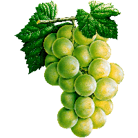 Grape Png Image