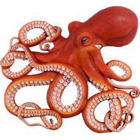 Octopus Free Download PNG HQ