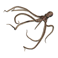 Octopus Free Clipart HD