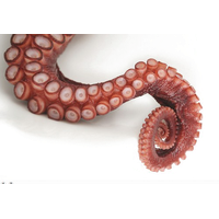 Octopus Tentacles Free Clipart HQ