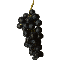 Black Grape Png Image