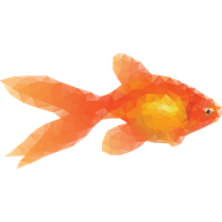 Goldfish Free Download Image