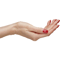 Palm Hands Png Hand Image 