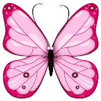Pink Butterfly Png Image Butterflies