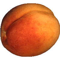 Peach Png Image